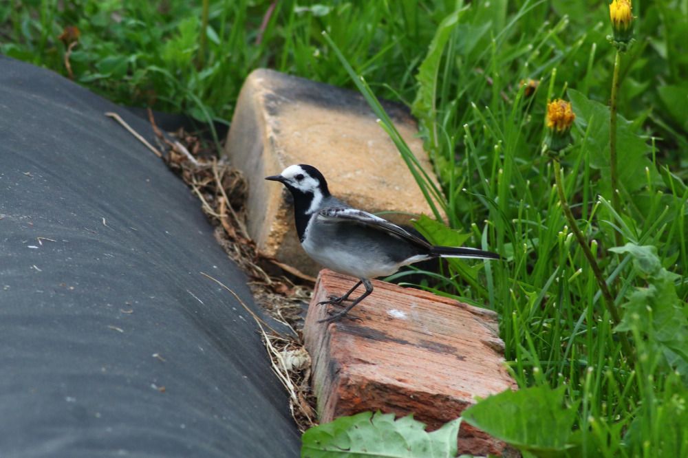 Photograph by Елена Наленч