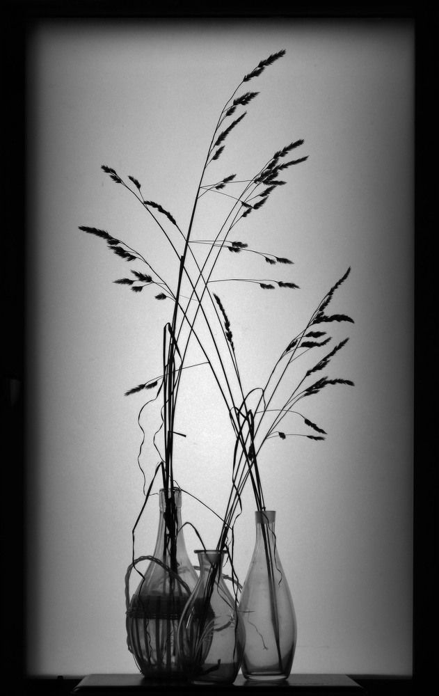 Photograph by 