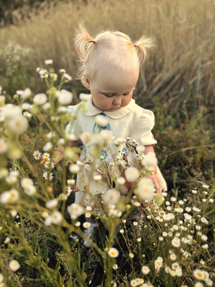 Фотография автора Елена Поживилко