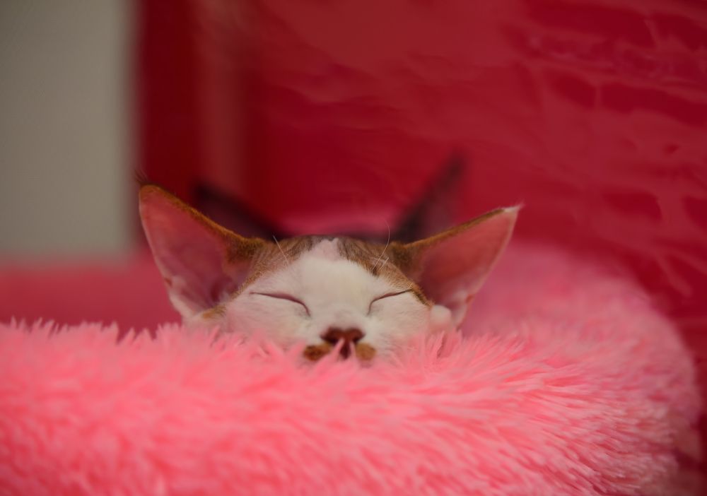 Photograph by Владислав Кравцов