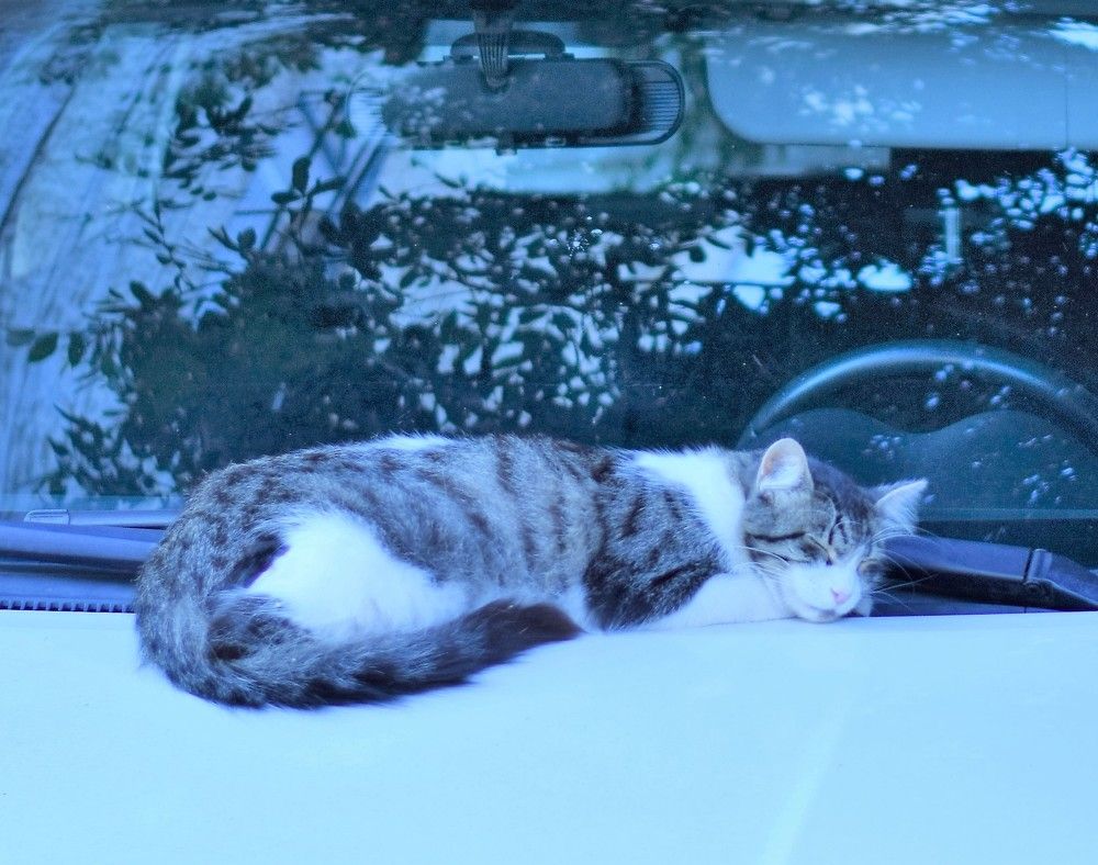 Photograph by Marina Eremin