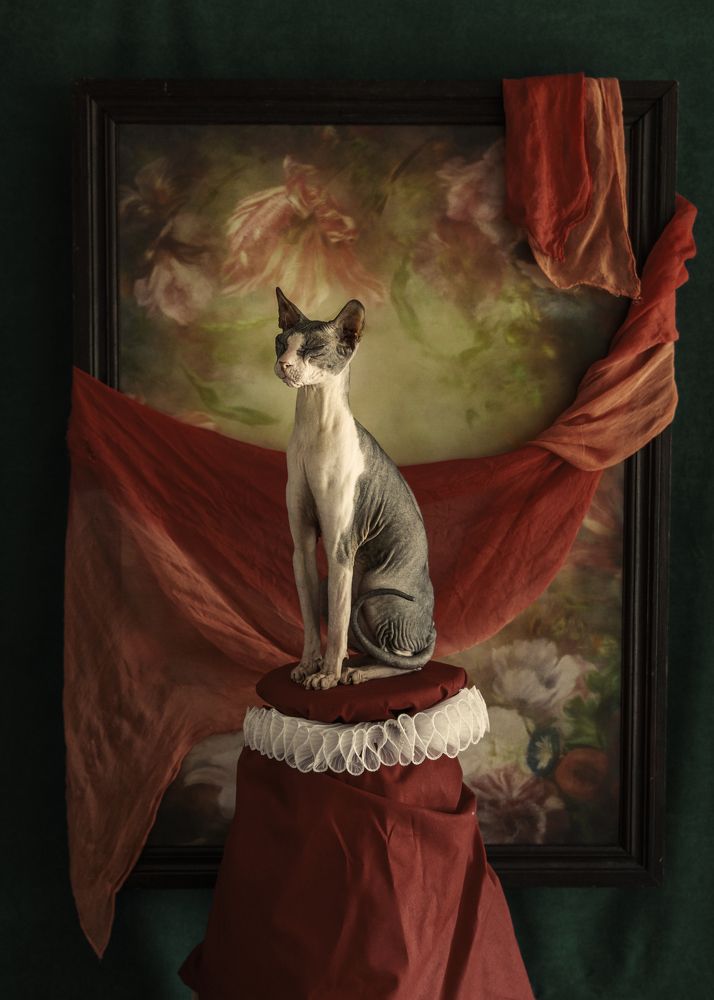 Вспоминая древнеегипетские времена