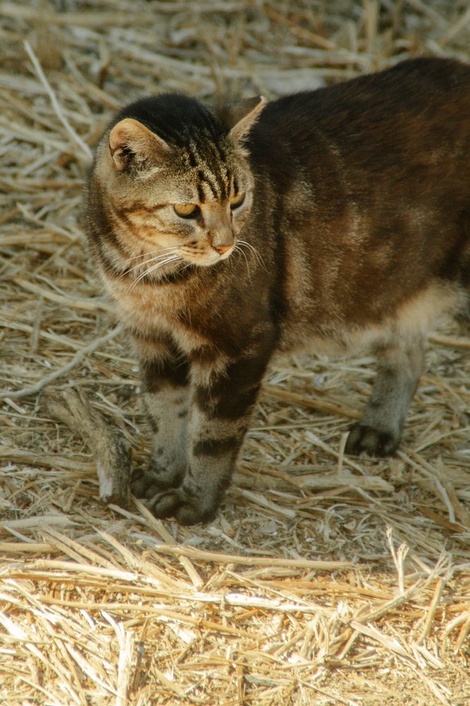 Photograph by Fábio Martins