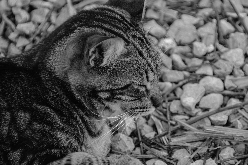 Photograph by Fábio Martins