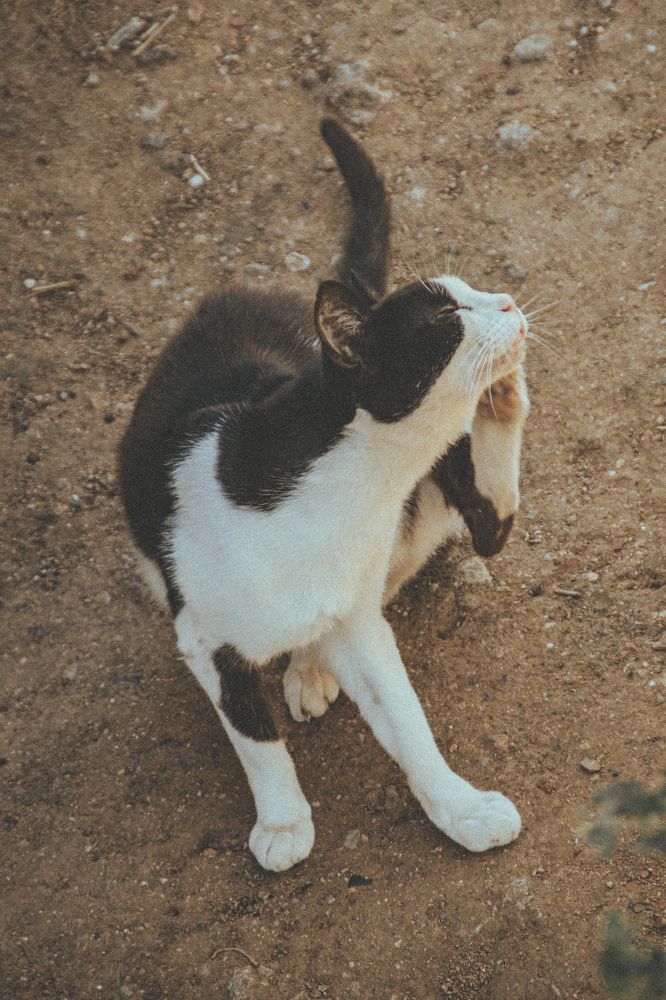 Photograph by Fábio Martins