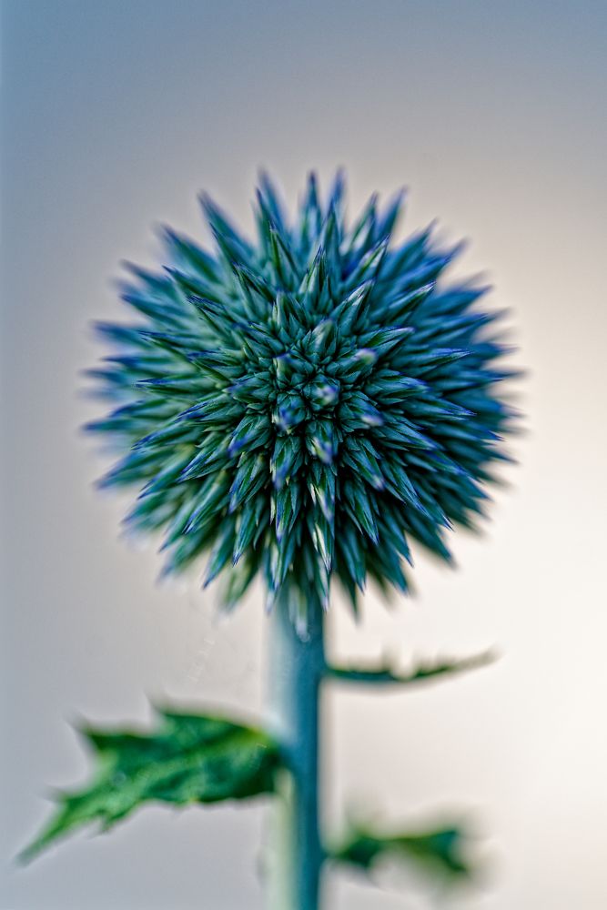 Photograph by Aleksei Degtjarjov