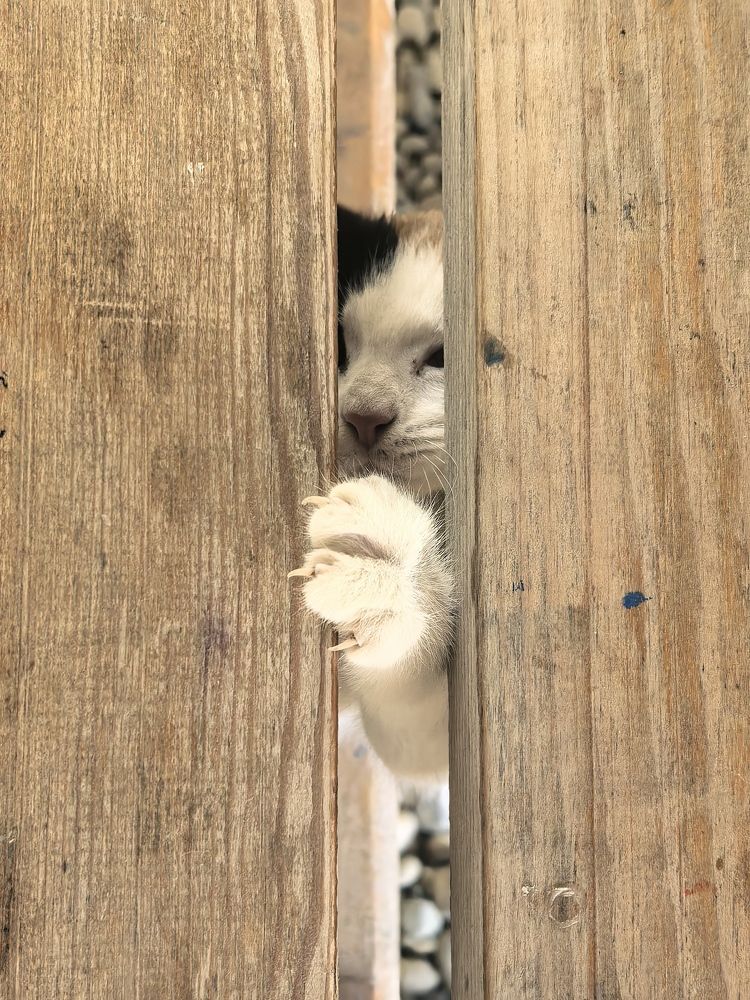 Photograph by Анна Епанчинцева