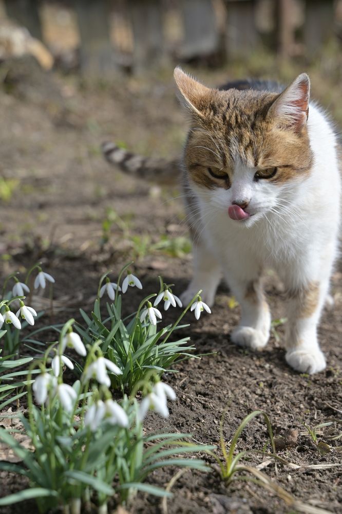 Photograph by Наталья Сергеева