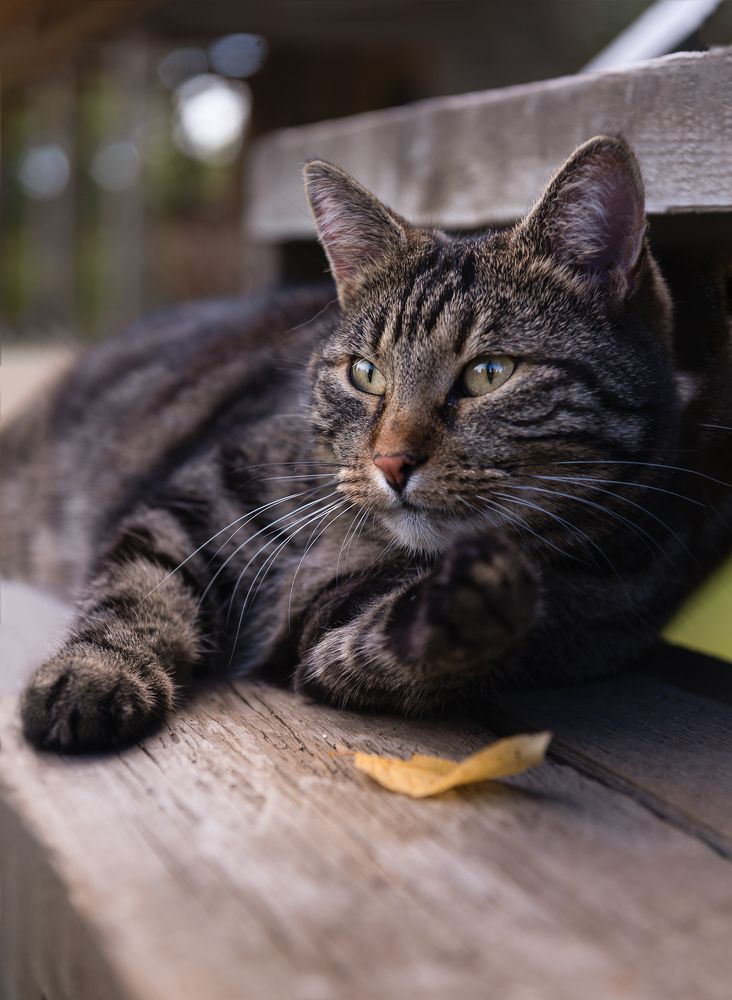 Photograph by Наталья Сергеева