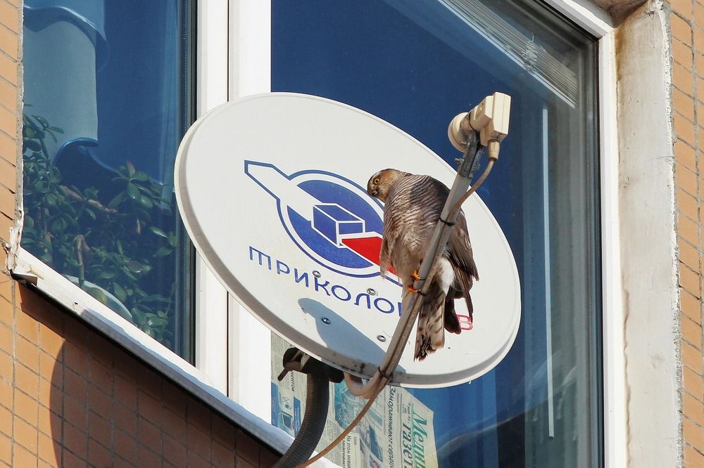 Что нового сегодня в мире?