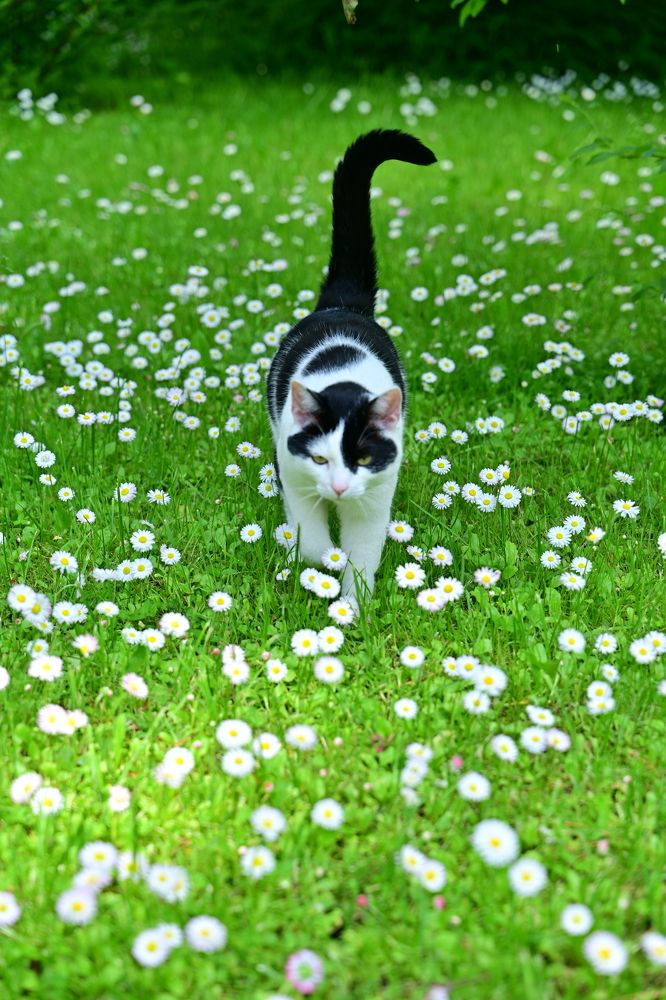 Photograph by Наталья Сергеева