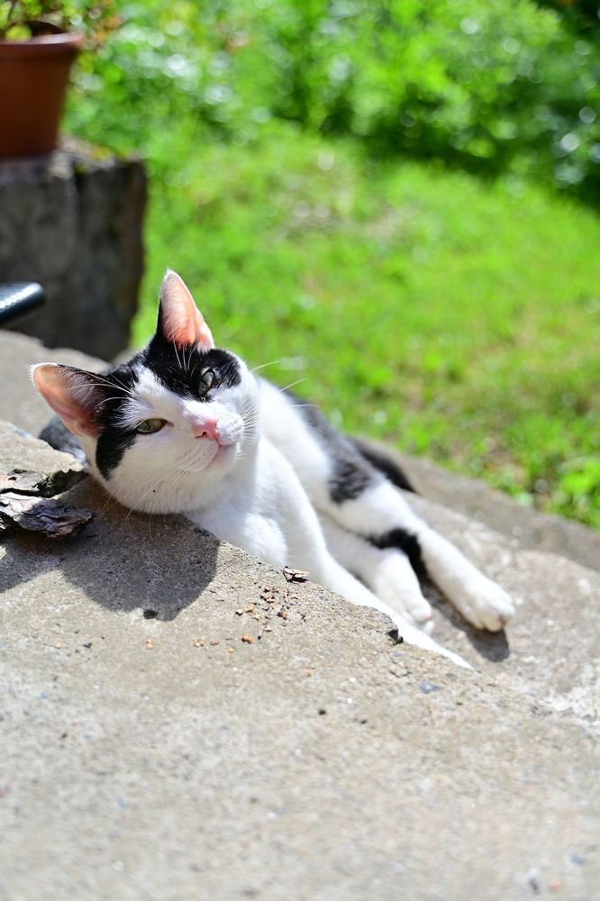 Photograph by Наталья Сергеева