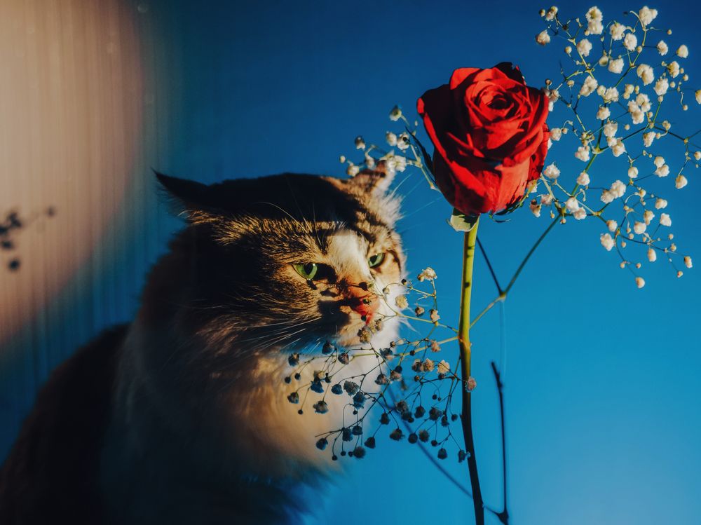 Photograph by Tatsiana Sialiuk