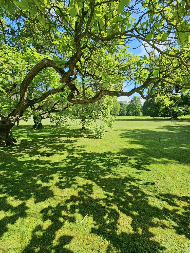 Весеннее настроение