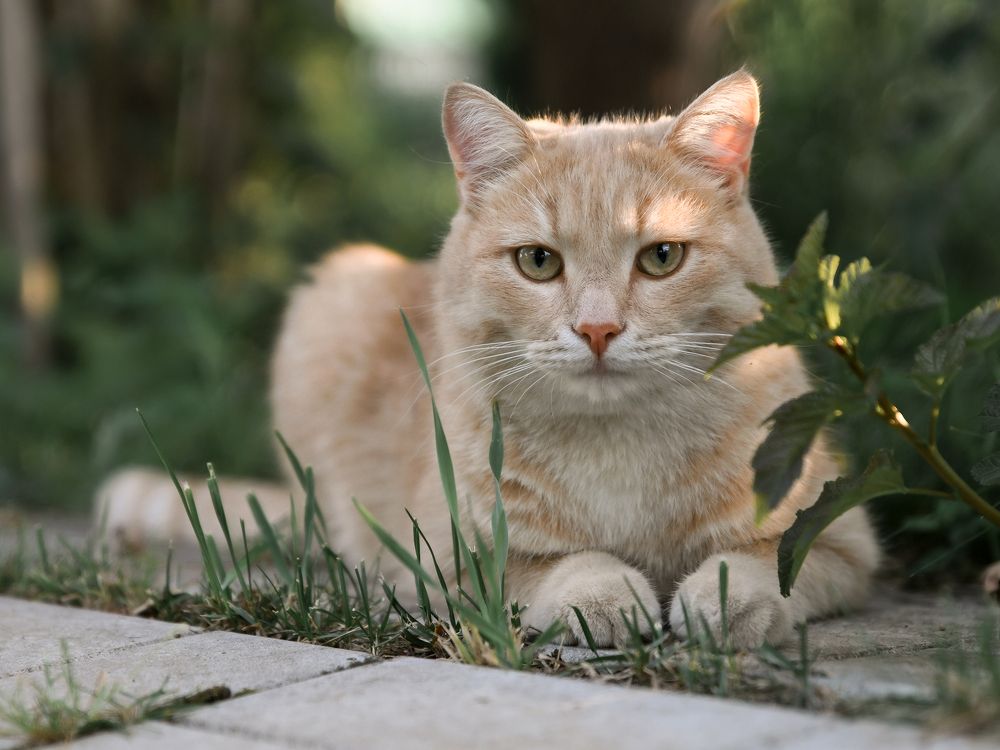 Photograph by Козлов Евгений