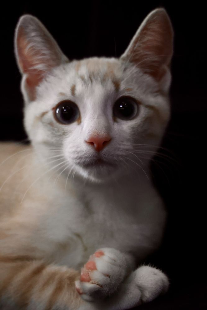 Photograph by Евгения Казакова