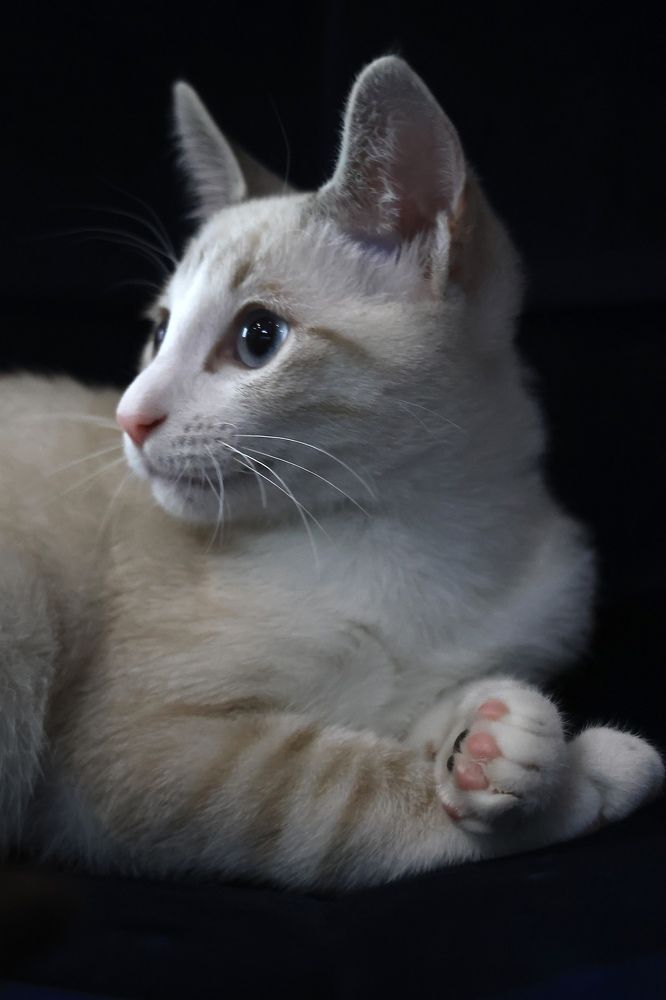 Photograph by Евгения Казакова