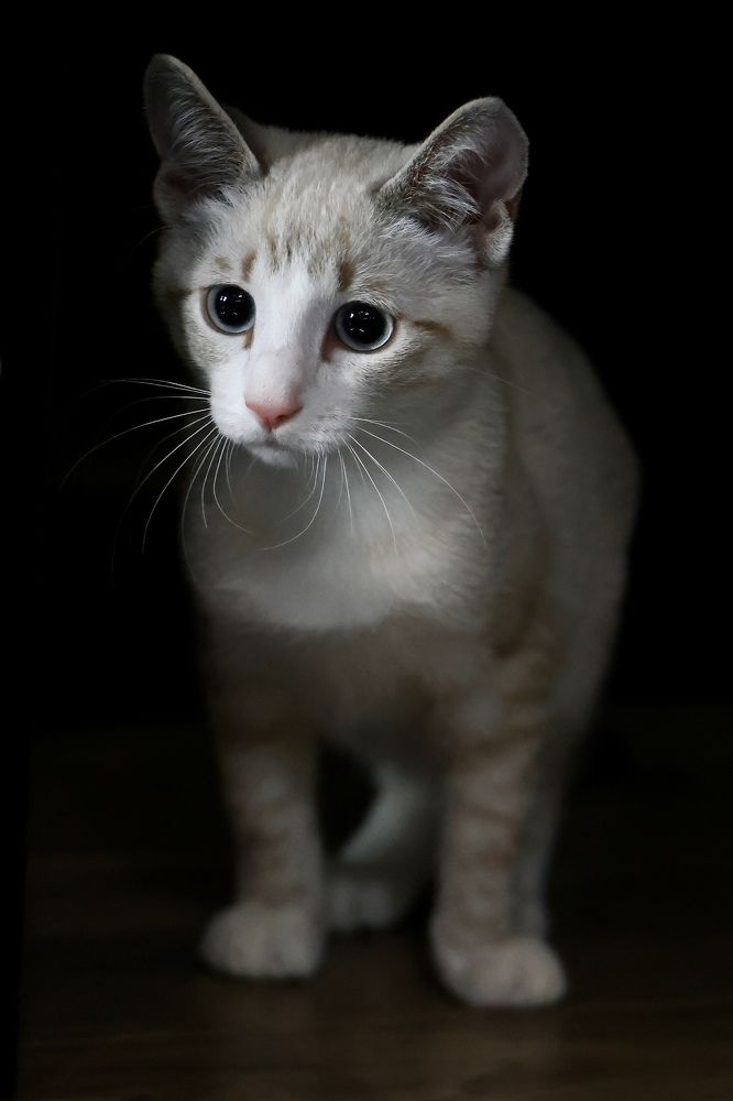 Photograph by Евгения Казакова