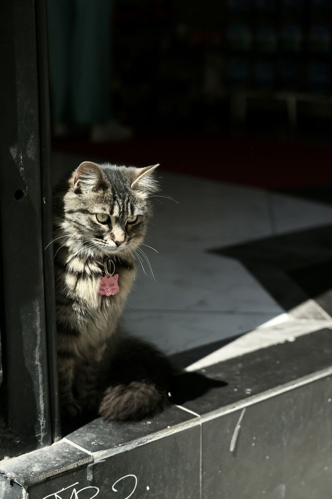 Photograph by Евгения Казакова