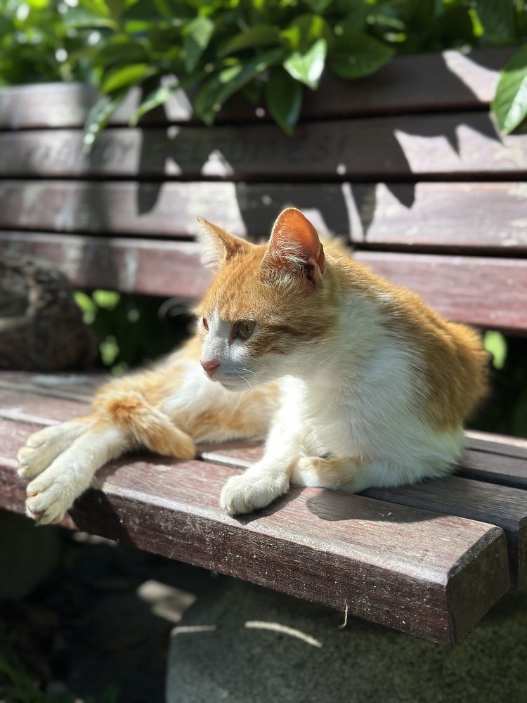 Photograph by Евгения Казакова