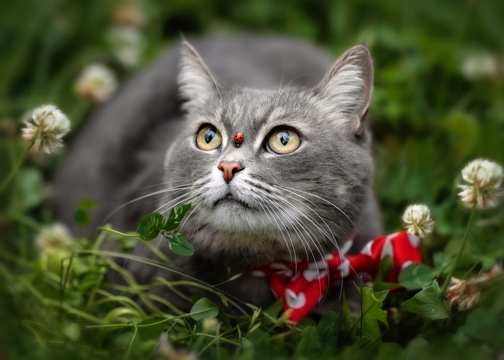 Photograph by Татьяна Самойлова