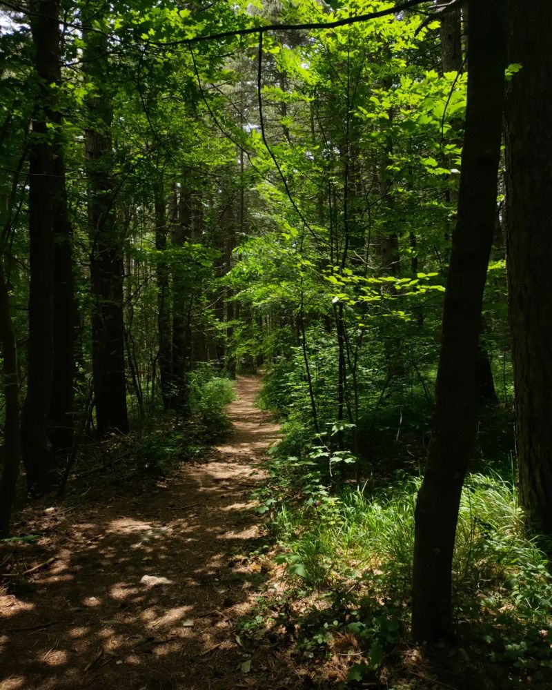 Фотография автора Yacine Meksi