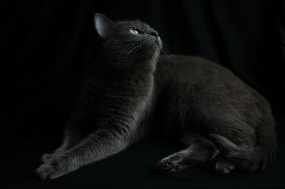 Photograph by Марина Егорова