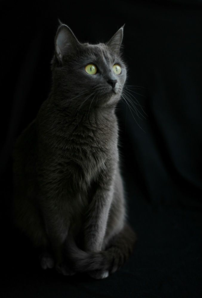 Photograph by Марина Егорова