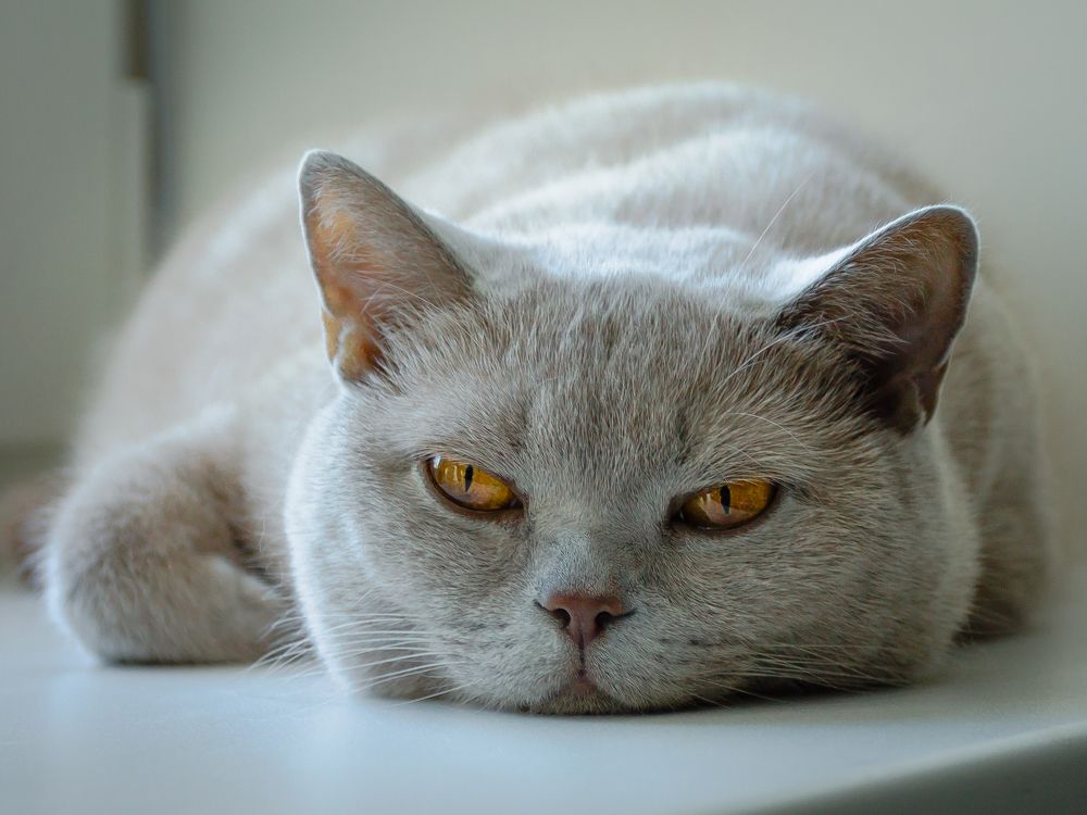 Photograph by Олег Дорошенко