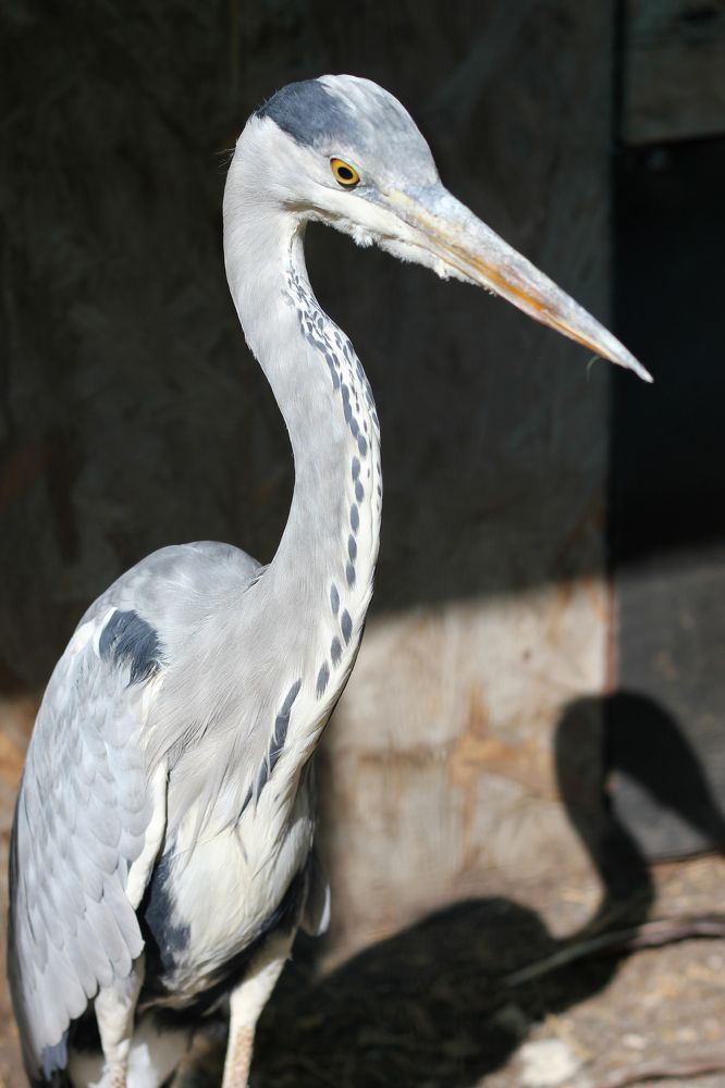 Photograph by Татьяна Аршинова