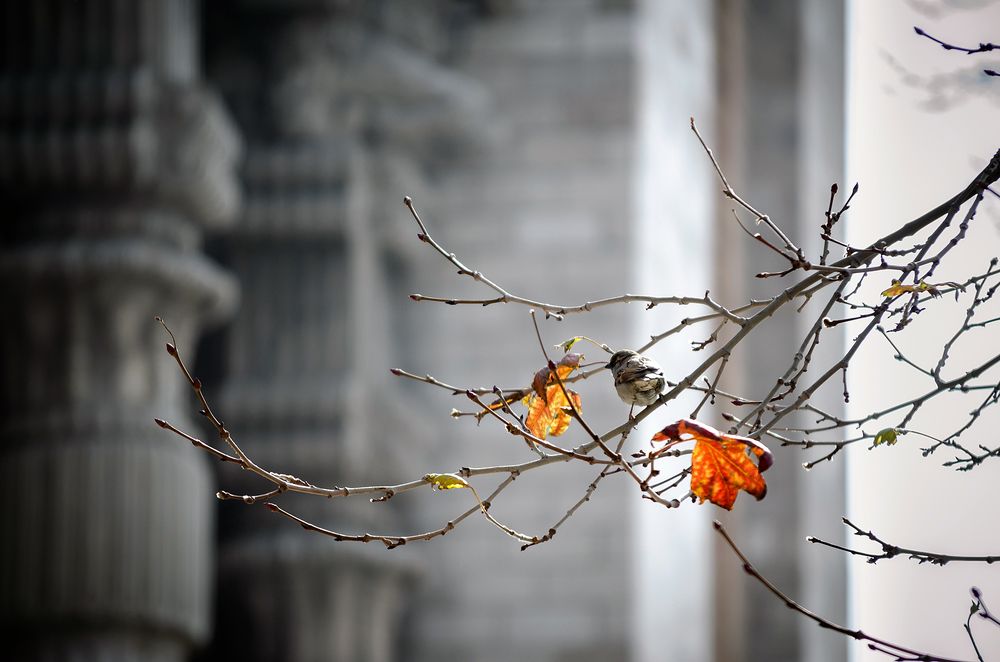 Photograph by Sahar Jafari