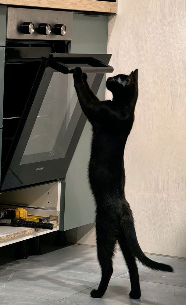 Photograph by Игорь Сапронов