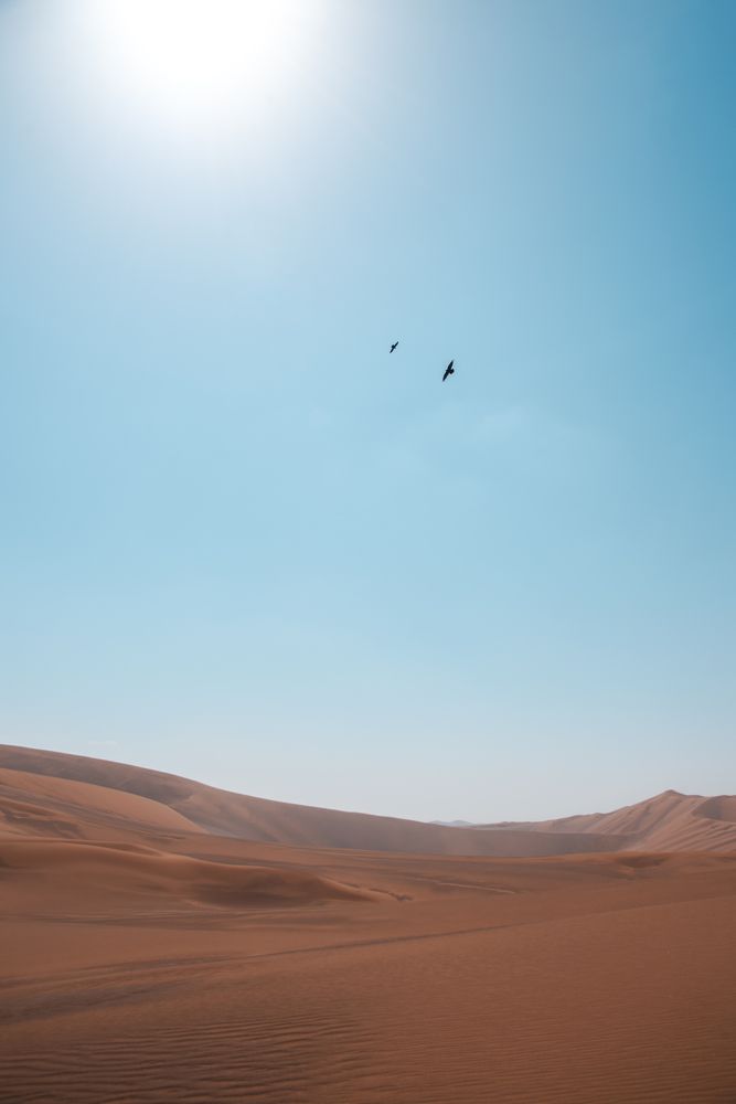 Photograph by ho3in afroozeh