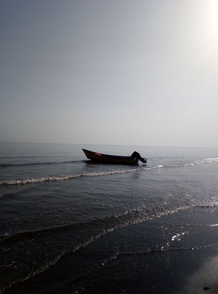 Photograph by zahra ghasemi ghasemi