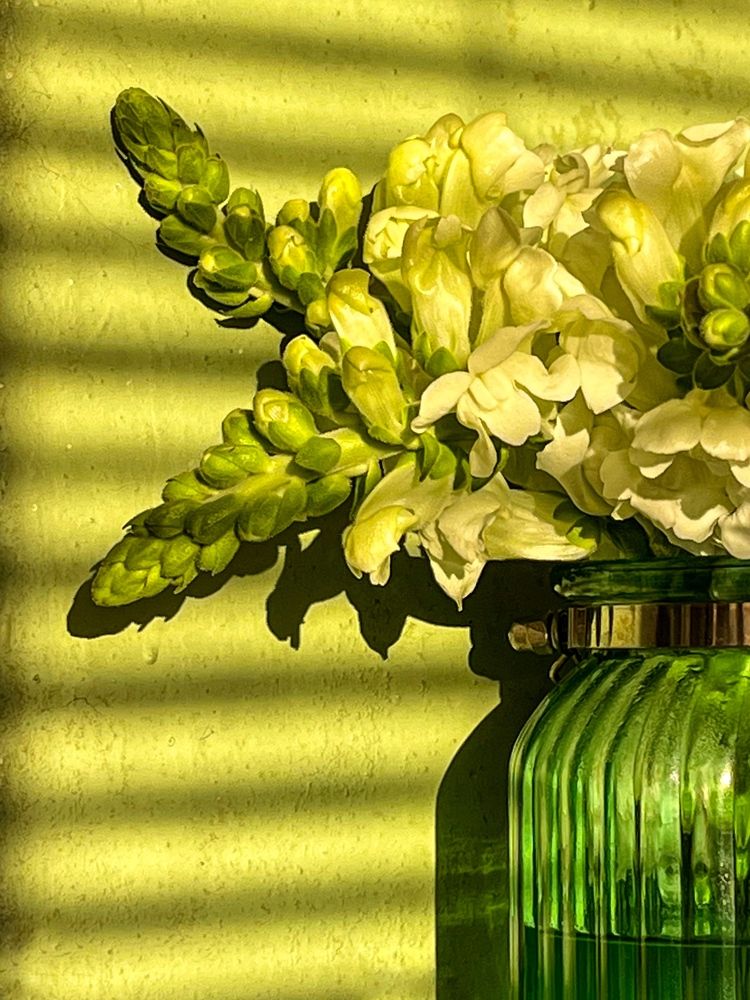 Photograph by Ekaterina