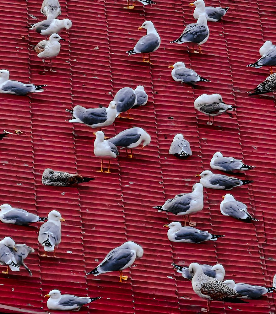 Photograph by жан хачапурадзе