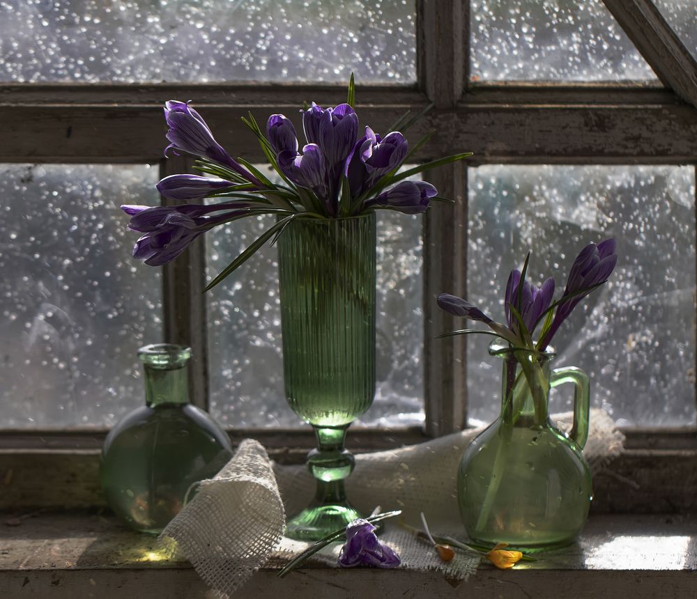 Photograph by Tatyana Fedenkova