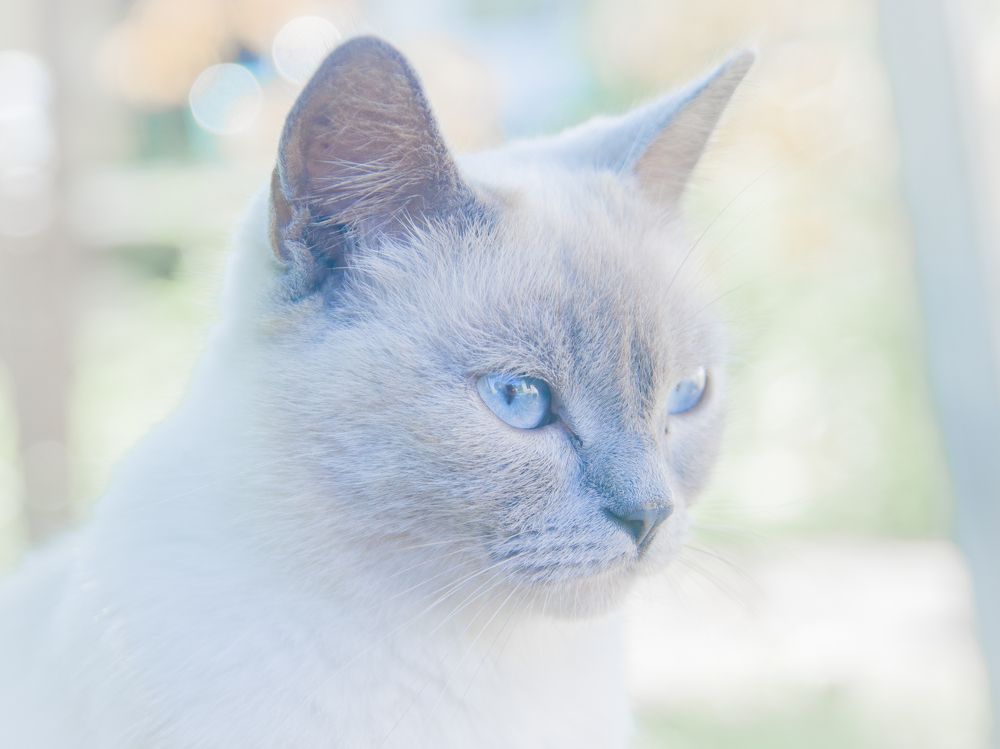 Photograph by Артём Серегин