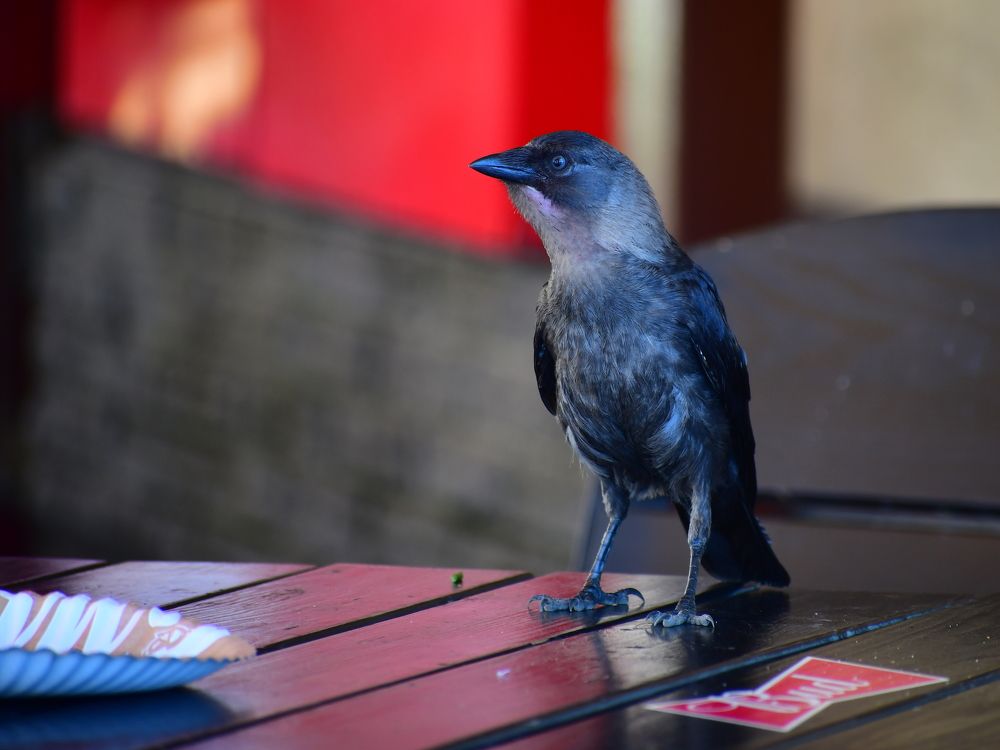 Photograph by Николай Абакумов