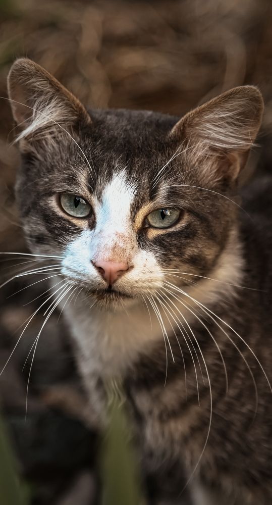 Photograph by жан хачапурадзе