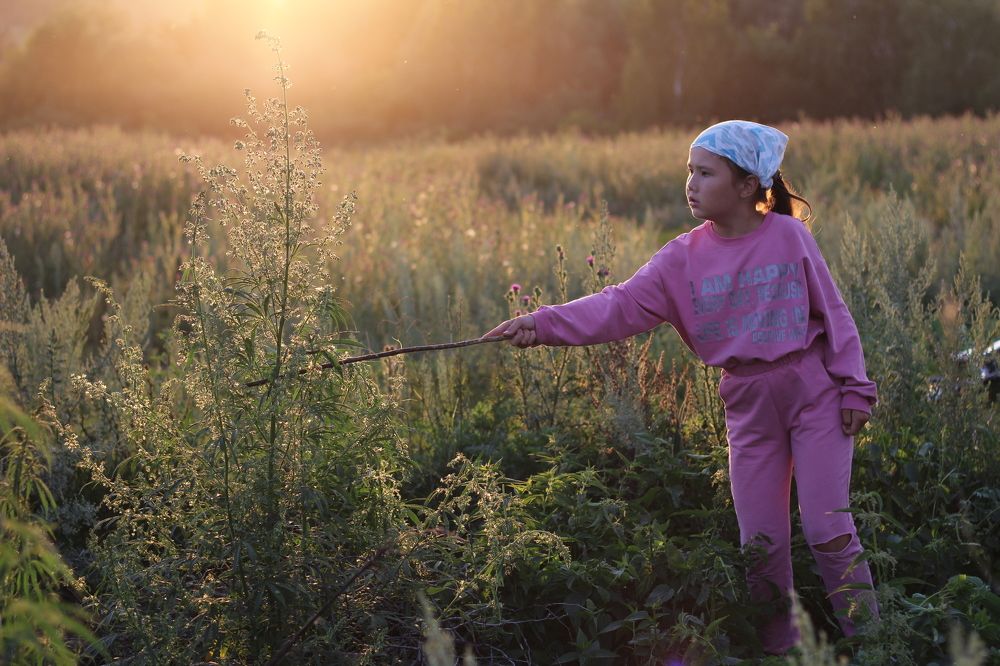 Photograph by Гульфира Душанбаева