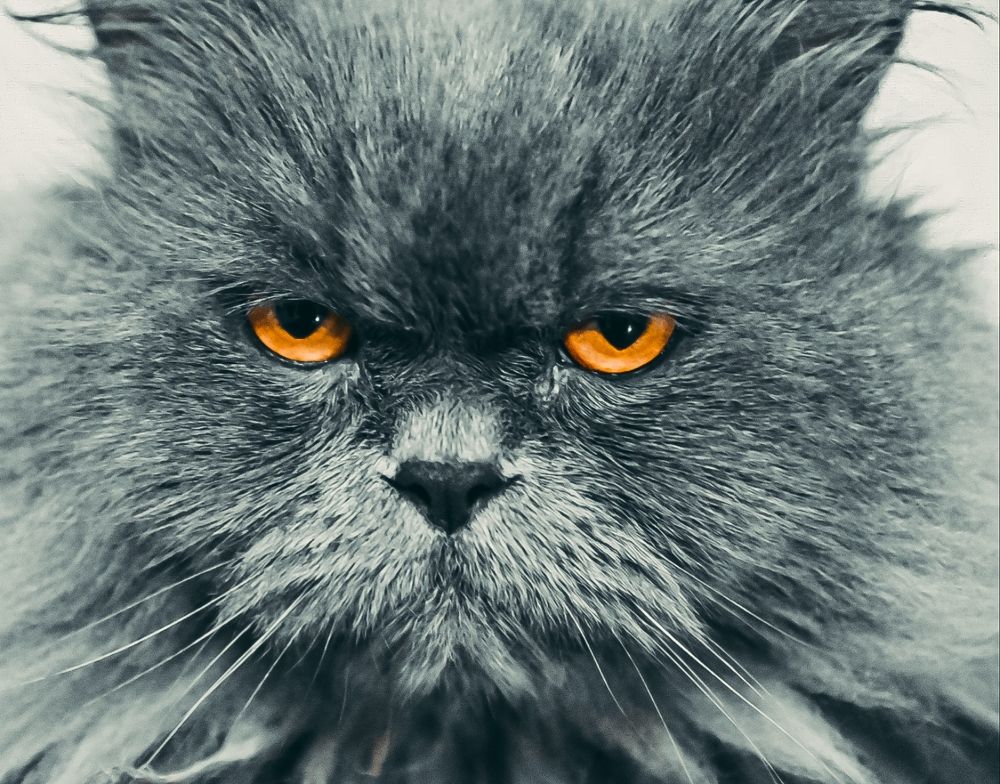 Photograph by жан хачапурадзе