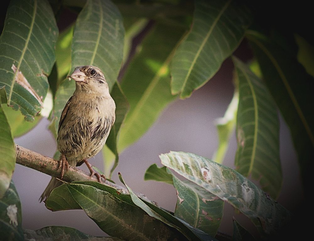 Фотография автора zakaria ahmad