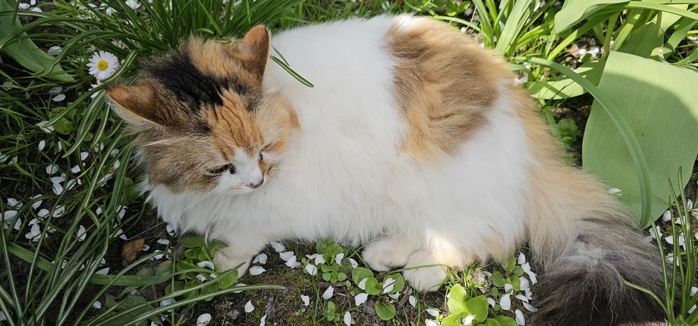 Фотография автора Александр Петуховский