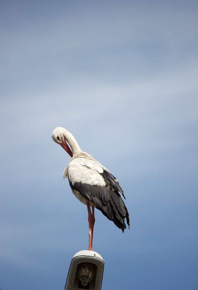 Photograph by Лариса Белашова