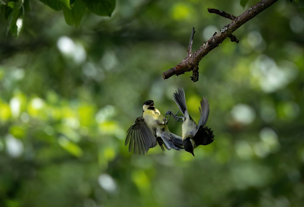 Photograph by Галина Павлова