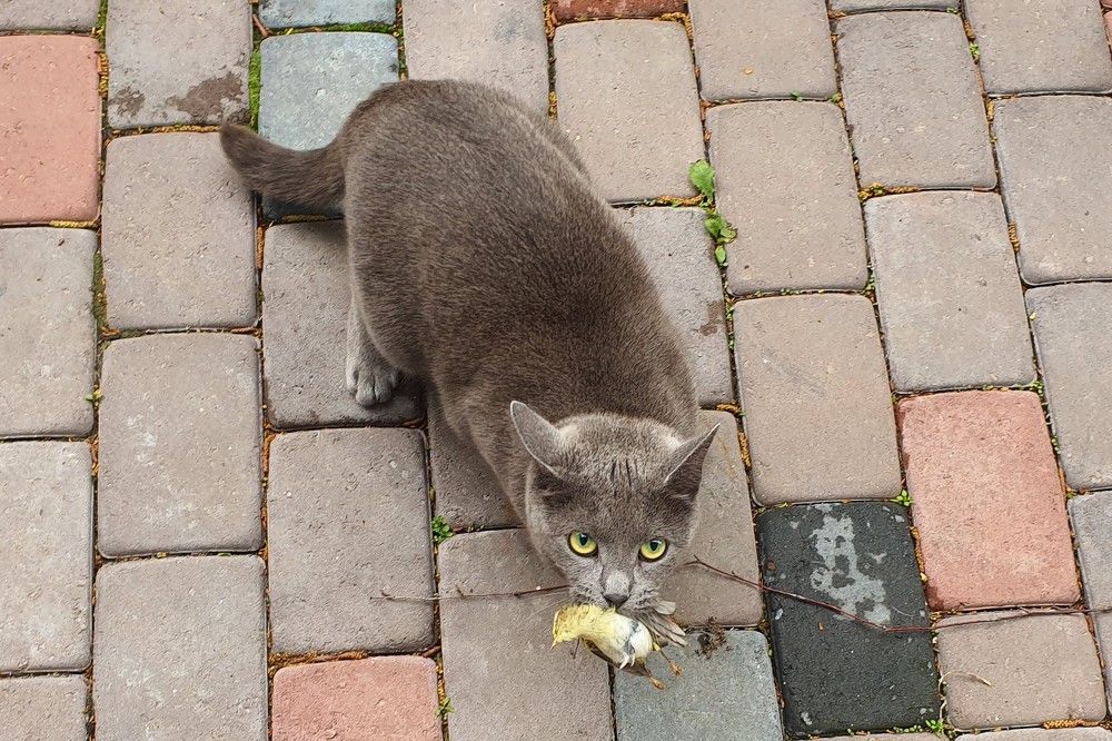 Photograph by Andrei Baburin