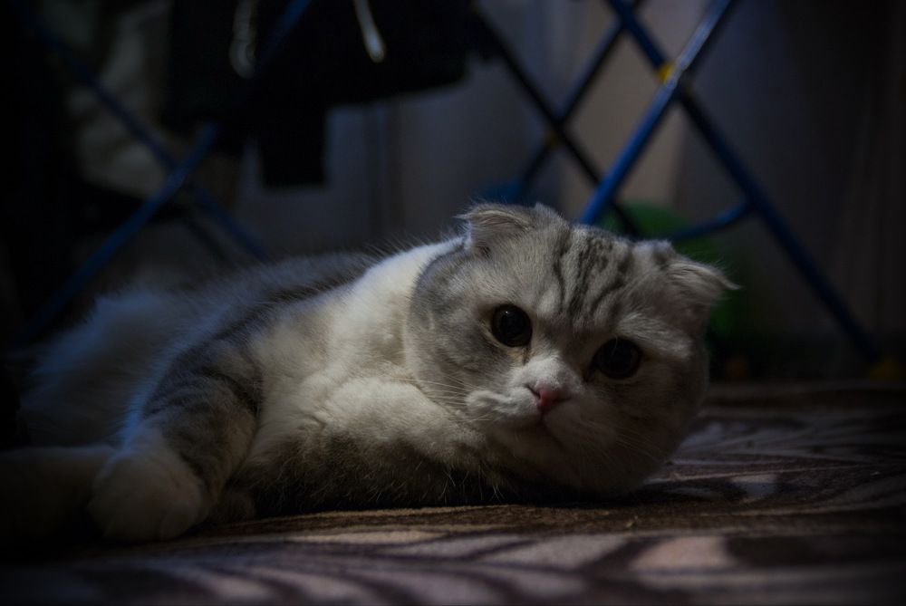 Photograph by Дубровин Николай