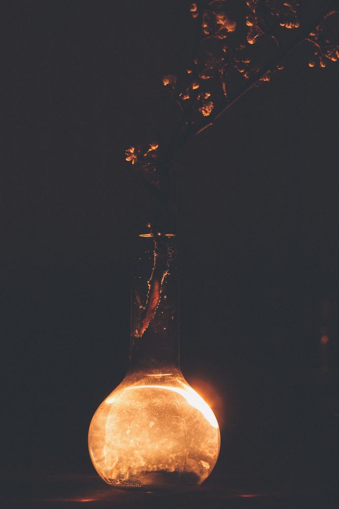 Photograph by Максим Луцив