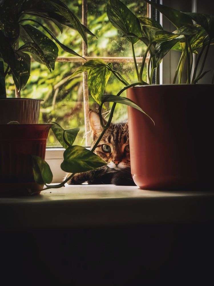 Photograph by Yuliya Karpova